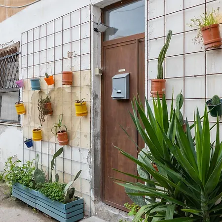 Fiorelli 17 - 3* Palermo